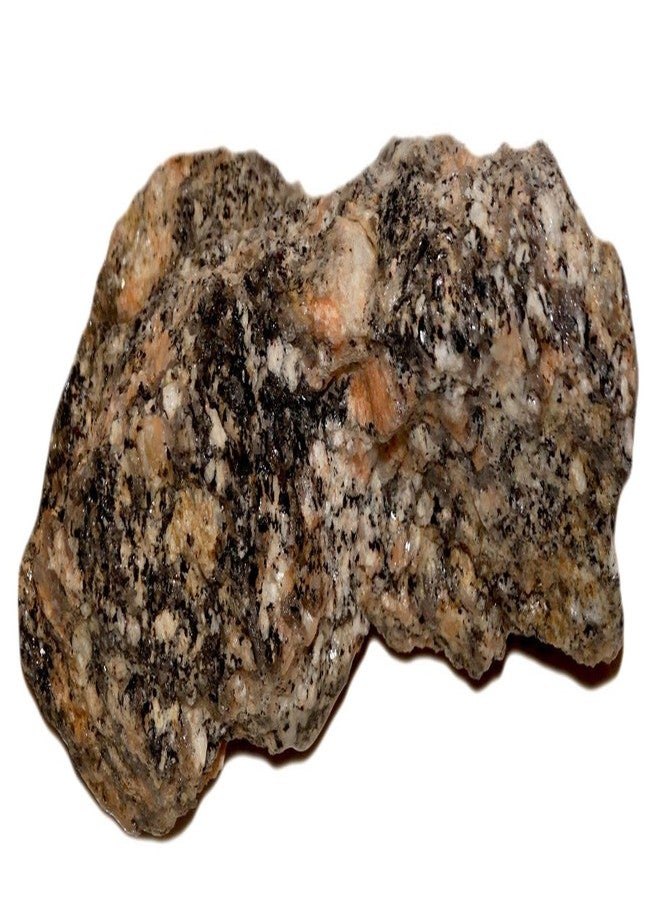 Maalavya صخور مالافيا جنيس 3 كجم لـ |زينة أحواض السمك|إعداد أحواض الشعاب المرجانية|ديكور الحدائق|حصى حجري مائي. - Image 4